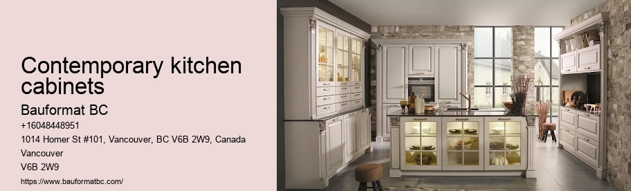 Contemporary kitchen cabinets