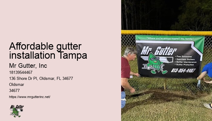 Local gutter installers Affordable gutter installation Tampa