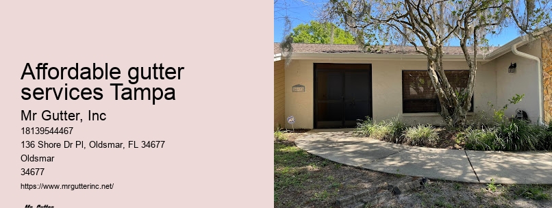 Gutter inspection Affordable gutter services Tampa