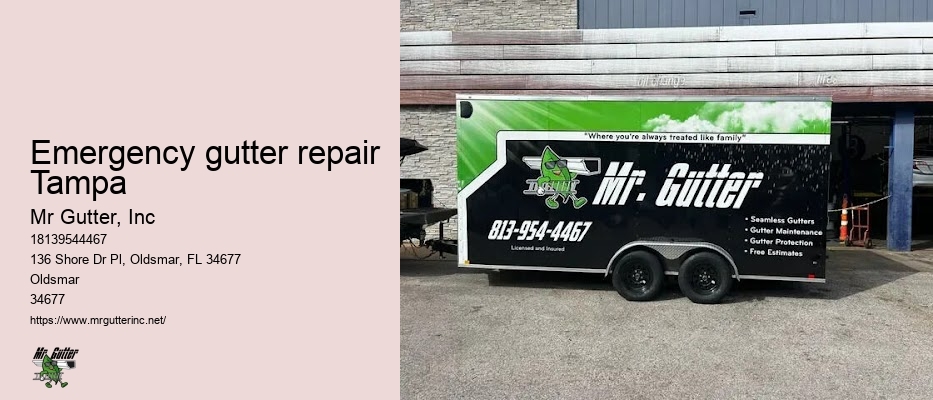 Emergency gutter repair Tampa