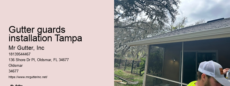 Gutter guards installation Tampa gutter contractors