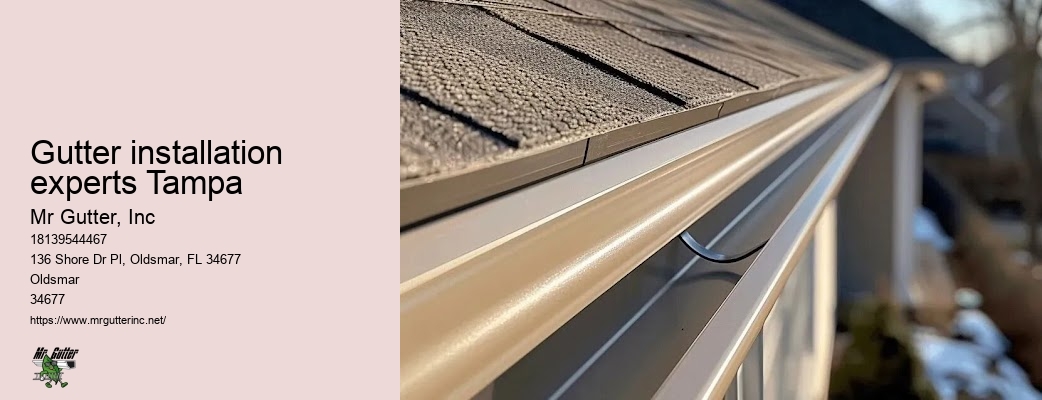 Gutter design and installation Gutter installation experts Tampa