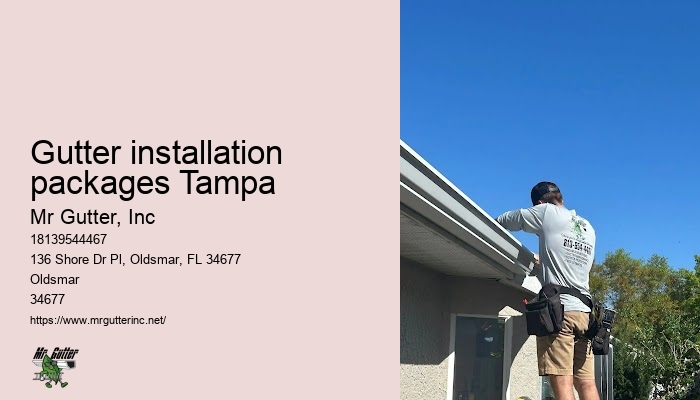 Renovation gutter installation Gutter installation packages Tampa