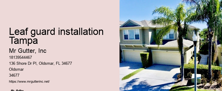 Gutter installation experts near me Leaf guard installation Tampa