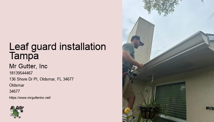 Leaf guard installation Tampa gutter upgrade services