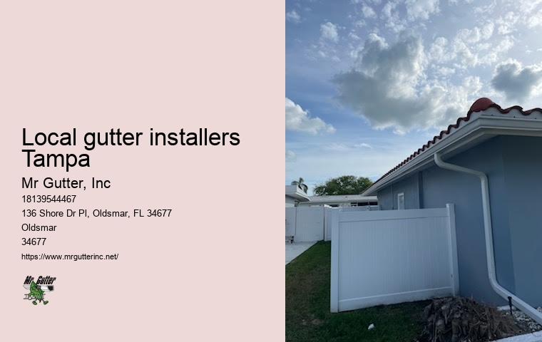 Local gutter installers Tampa gutter repair professionals