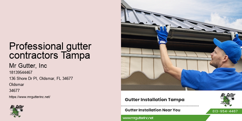 Rain gutter installers Professional gutter contractors Tampa