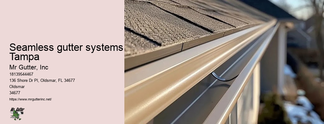Gutter cleaning cost Seamless gutter systems Tampa