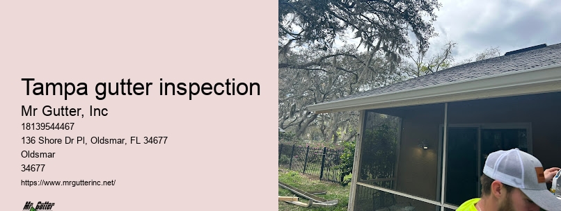 Tampa gutter inspection gutter installation ratings