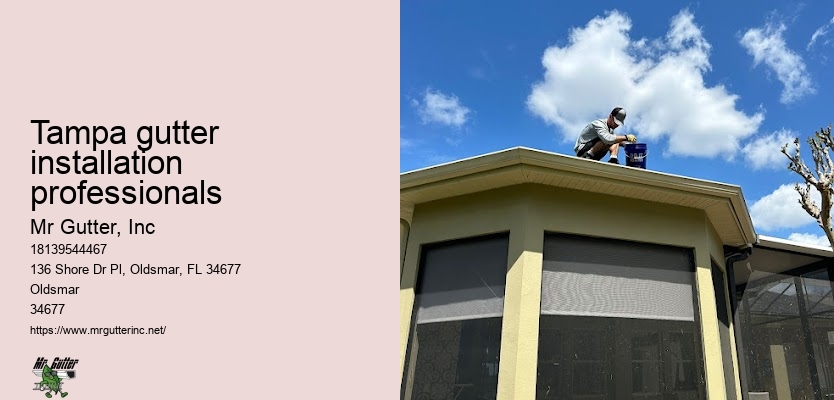 Gutter installation for condos Tampa gutter installation professionals