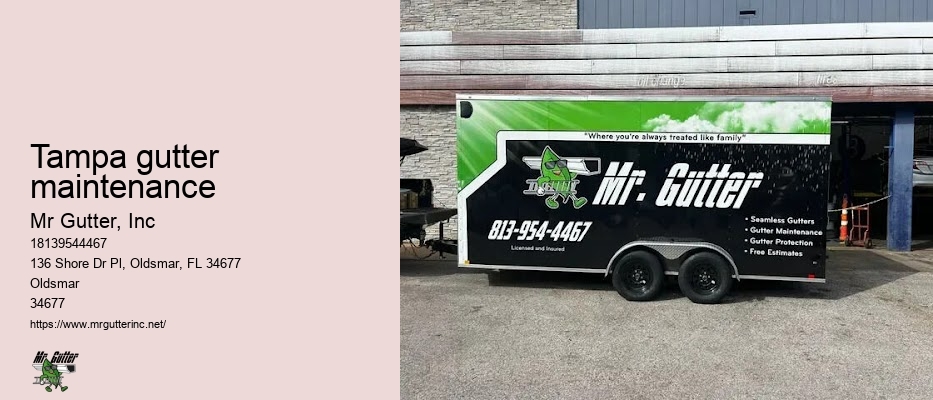 Tampa gutter maintenance