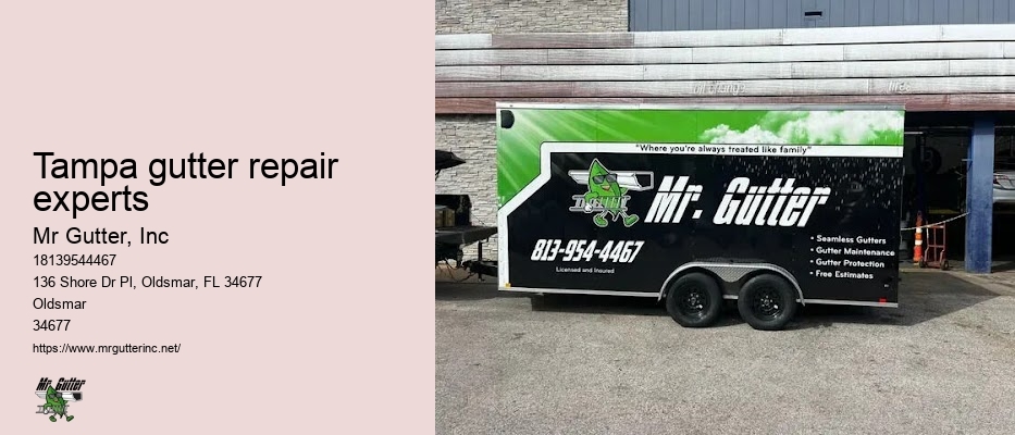 Tampa gutter repair experts
