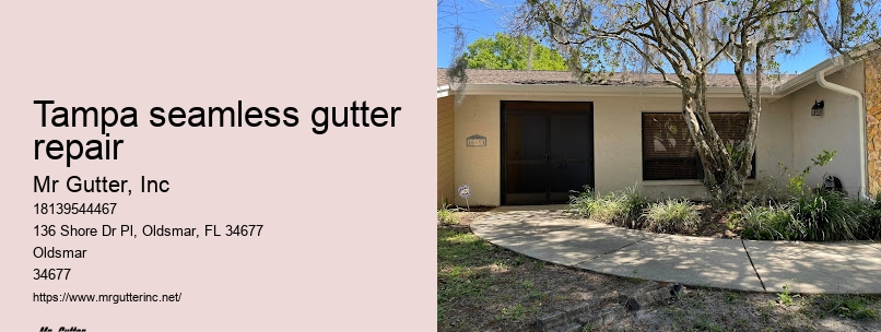 Expert gutter installers Tampa seamless gutter repair